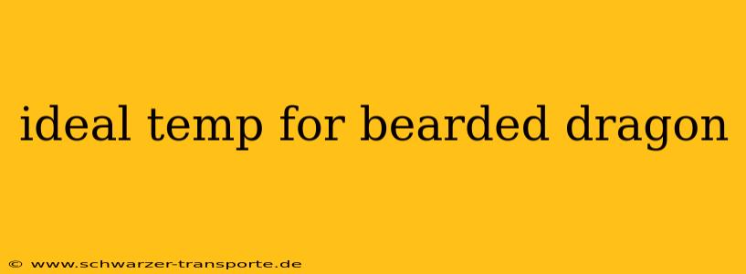 ideal temp for bearded dragon
