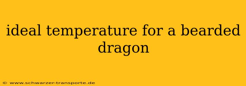 ideal temperature for a bearded dragon