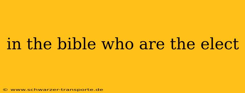 in the bible who are the elect