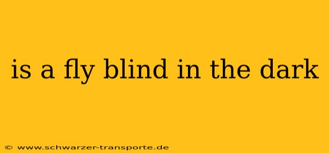 is a fly blind in the dark
