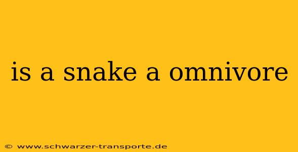 is a snake a omnivore