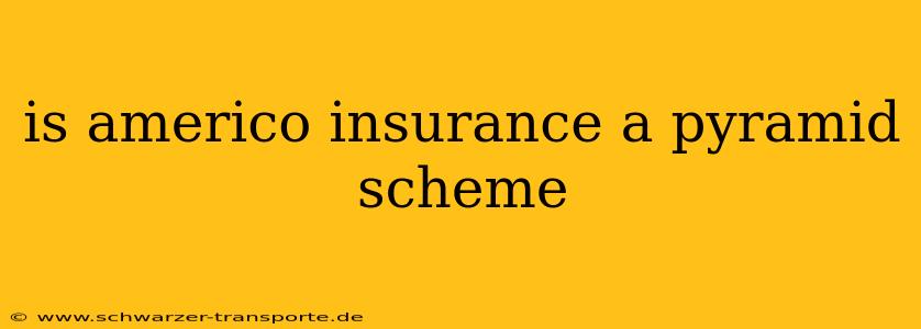 is americo insurance a pyramid scheme