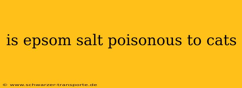 is epsom salt poisonous to cats