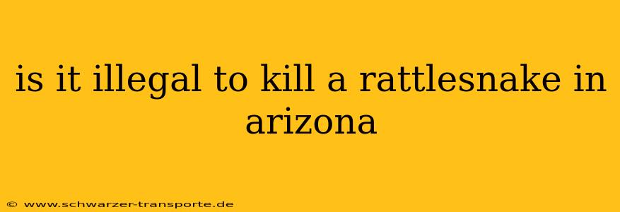 is it illegal to kill a rattlesnake in arizona