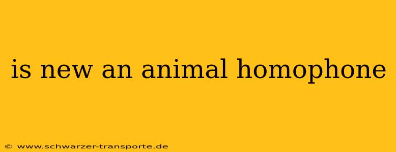 is new an animal homophone