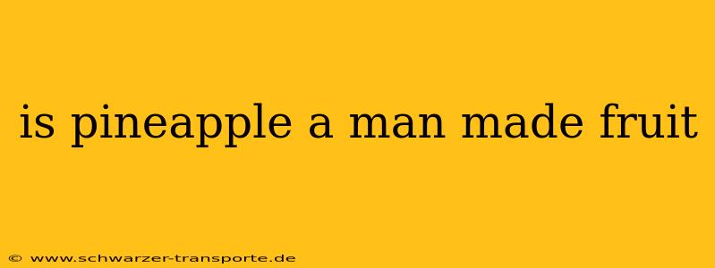 is pineapple a man made fruit