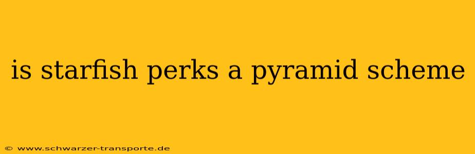 is starfish perks a pyramid scheme