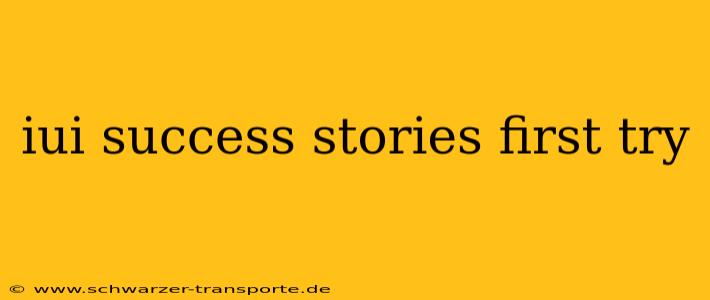 iui success stories first try