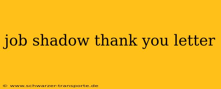 job shadow thank you letter