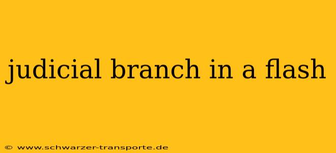 judicial branch in a flash