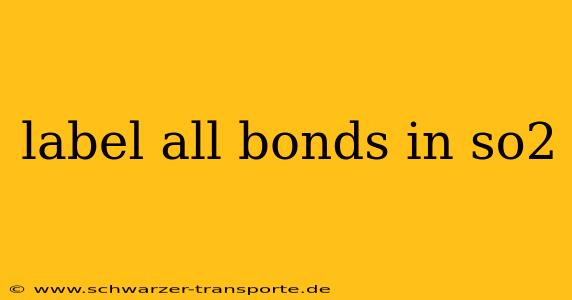 label all bonds in so2