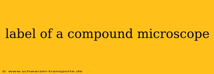 label of a compound microscope