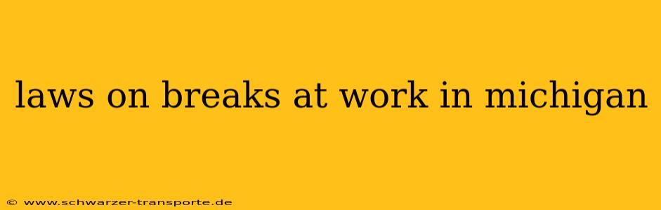 laws on breaks at work in michigan