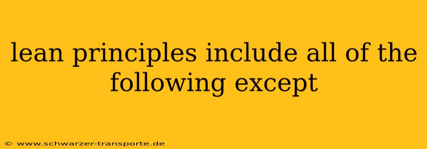 lean principles include all of the following except