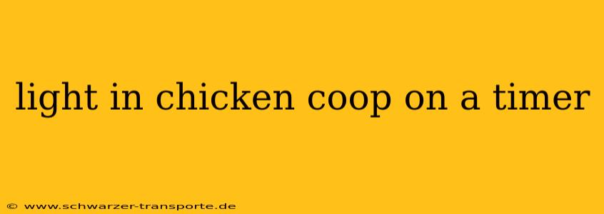 light in chicken coop on a timer