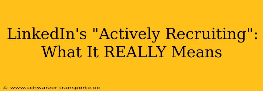 LinkedIn's "Actively Recruiting": What It REALLY Means