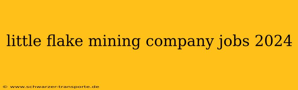 little flake mining company jobs 2024
