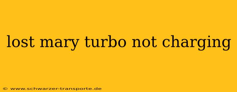 lost mary turbo not charging