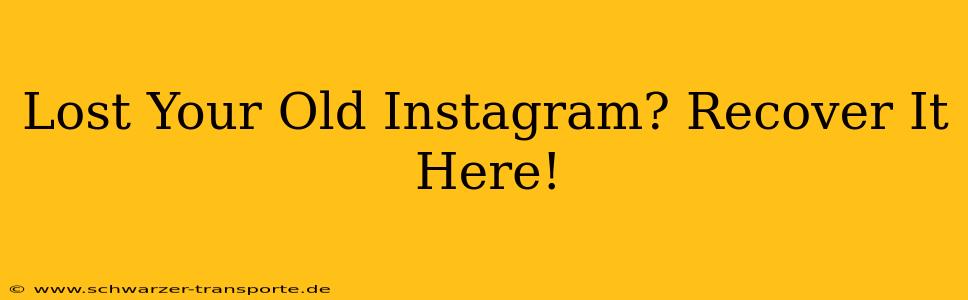 Lost Your Old Instagram? Recover It Here!