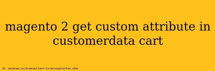 magento 2 get custom attribute in customerdata cart