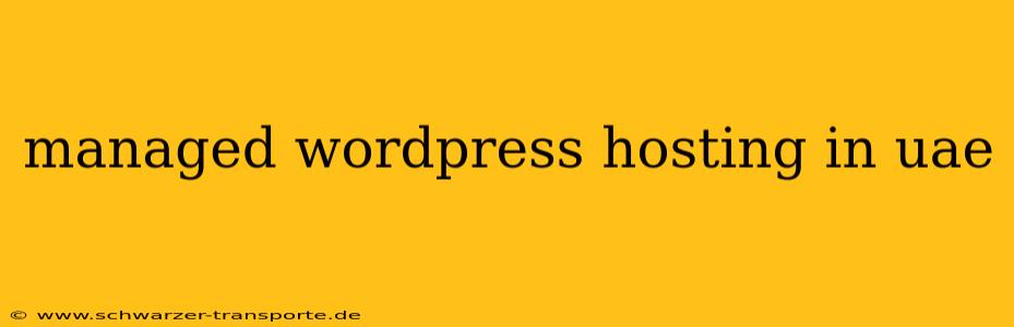 managed wordpress hosting in uae