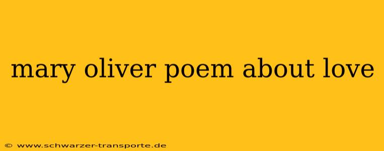 mary oliver poem about love