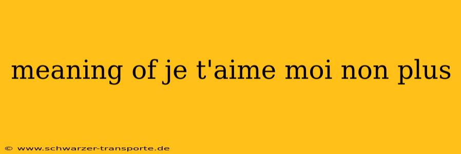 meaning of je t'aime moi non plus