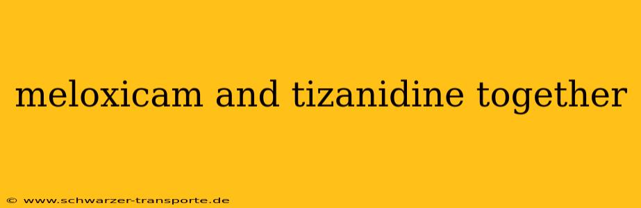 meloxicam and tizanidine together