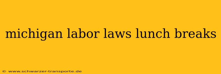 michigan labor laws lunch breaks