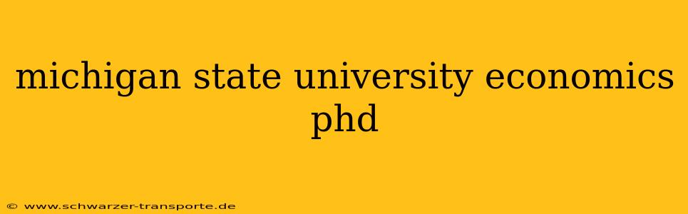 michigan state university economics phd