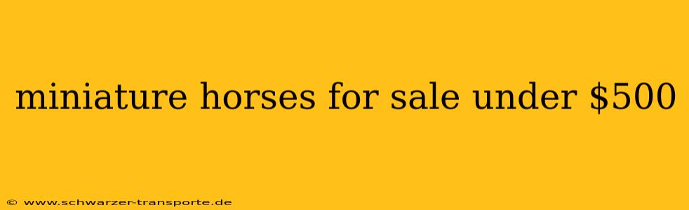miniature horses for sale under $500