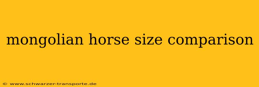 mongolian horse size comparison
