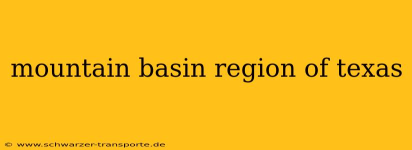 mountain basin region of texas