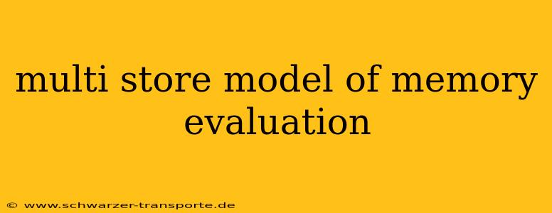 multi store model of memory evaluation