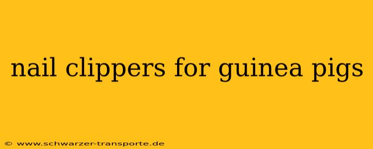 nail clippers for guinea pigs