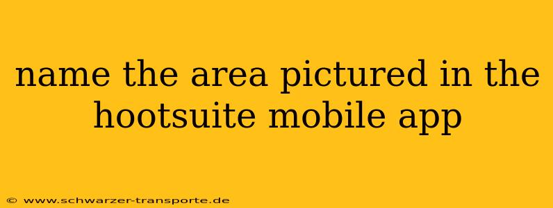 name the area pictured in the hootsuite mobile app