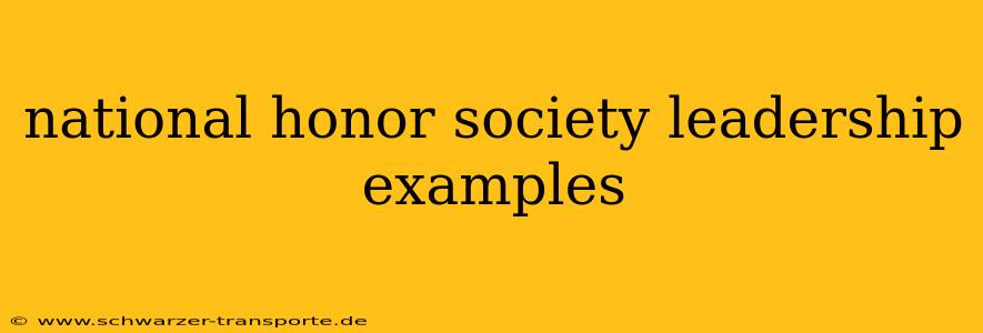 national honor society leadership examples