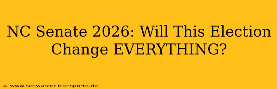 NC Senate 2026: Will This Election Change EVERYTHING?