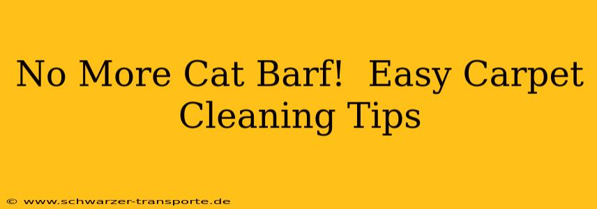 No More Cat Barf!  Easy Carpet Cleaning Tips