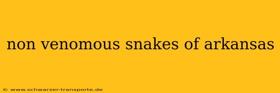 non venomous snakes of arkansas