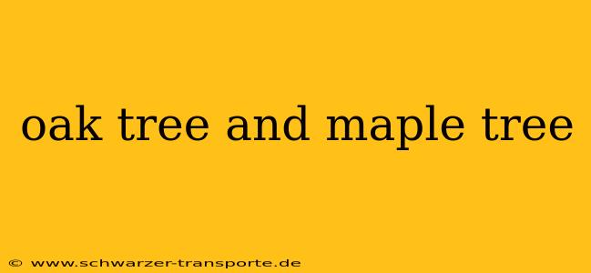 oak tree and maple tree