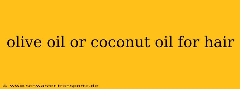 olive oil or coconut oil for hair