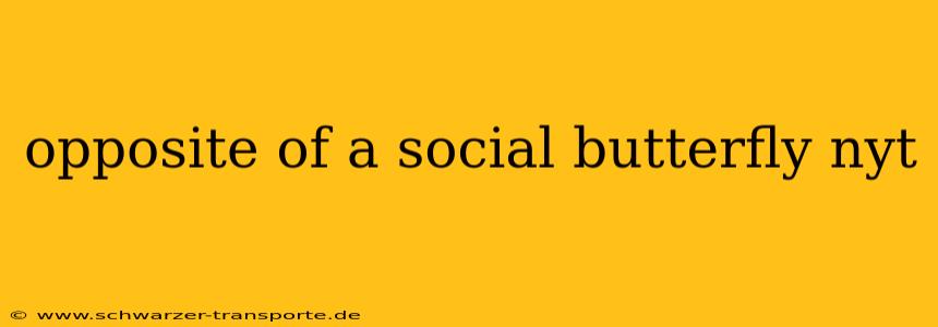 opposite of a social butterfly nyt