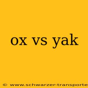 ox vs yak