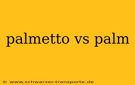 palmetto vs palm