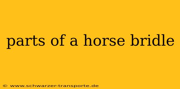 parts of a horse bridle