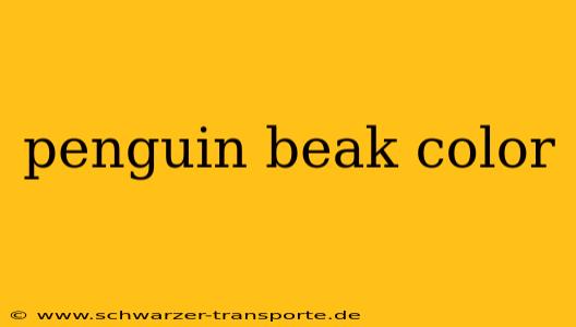 penguin beak color