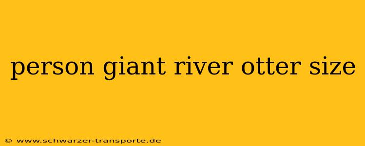 person giant river otter size