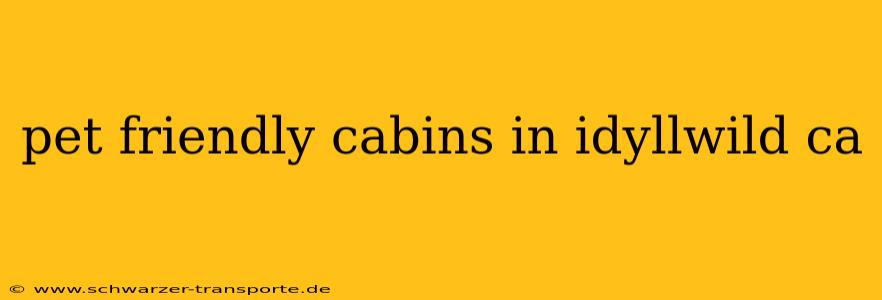pet friendly cabins in idyllwild ca