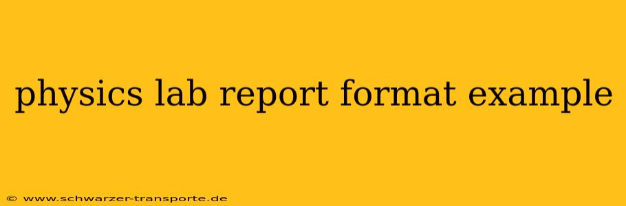 physics lab report format example